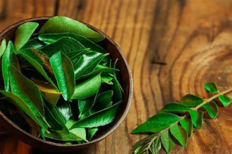 Curry Leaves