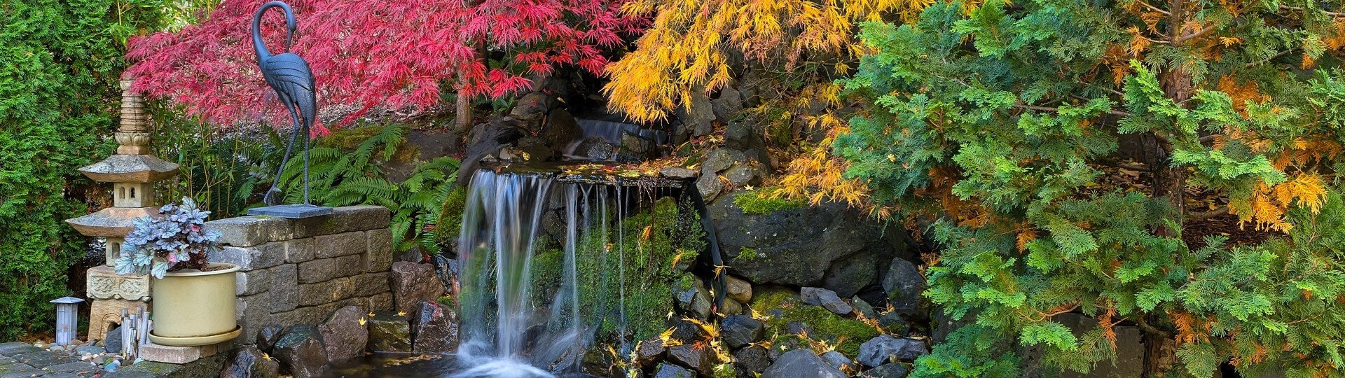 Top 10 Low-Maintenance Outdoor Plants for Busy Gardeners in the UAE