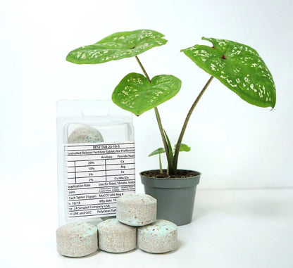 Best Tab / NPK Fertilizer Tablets with Complete Essential Nutrients for Indoor and Outdoor Plants